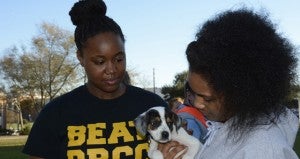 The Prentiss Headlight— Le Daria Moody of Ellisville and Victoria Pittman of Prentiss try to play with a sleepy puppy while on a break from studying for finals at JCJC.